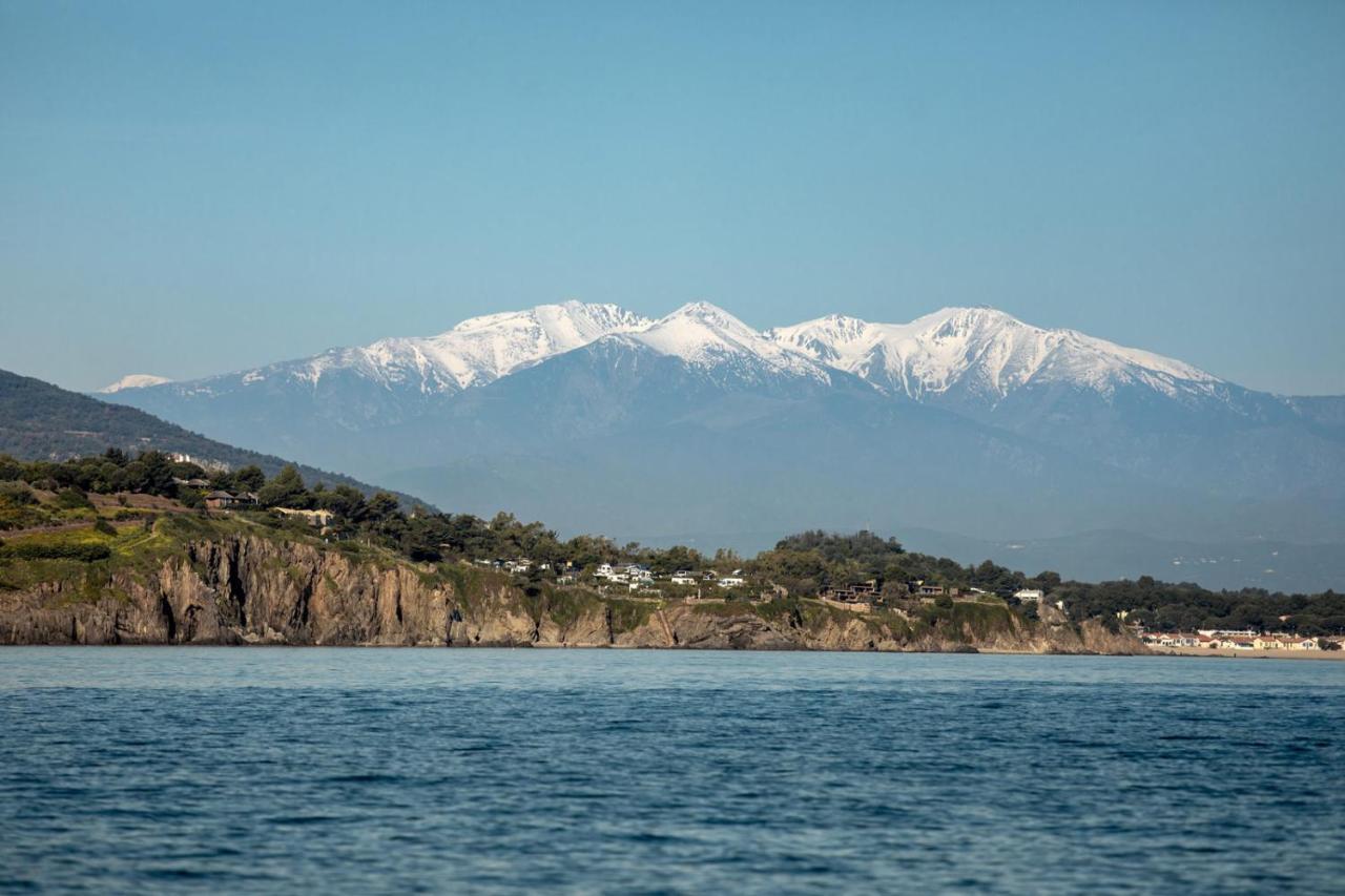"Les Bambous" Studio Cosy Climatise Au Calme De 37 M2 Parking Gratuit A Argeles Sur Mer מראה חיצוני תמונה